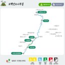 대광천(1) | 명품 숲길 울진 금강소나무숲길 3구간 가을 탑방기