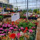 헬로우마켓 이미지