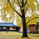 정촌유기농원 이미지