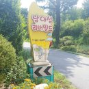 남이섬리버필드 이미지