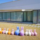 하루키즈풀빌라 이미지