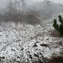 심지농장 이미지