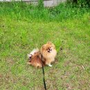 도토약국 이미지