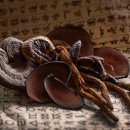 수색경희한의원 이미지