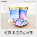 일본 구매대행 사이트 팡와네 일본입욕제 추천