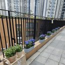 프롬마이포레스트