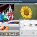 디지털 사진 편집 이미지