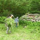 월란정사(月瀾精舍) 이미지