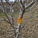 동산숲협동조합 이미지