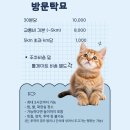 커뮤니캣 고양이 호텔&미용실 네이버블로그