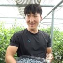 김태현농장 이미지