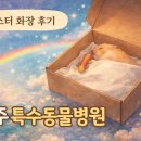 로얄종합동물병원 이미지