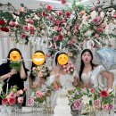 우화 | 부산 브라이덜샤워 장소추천 <스튜디오 우화> 금요일 저녁 방문 후기 (드레스 종류 및 사이즈)