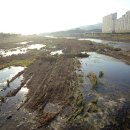 금호강4 이미지