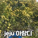 아랑디