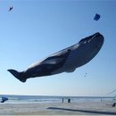 고래피시방 이미지