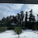 카페힐민박 이미지