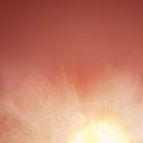 재활용처리장 이미지