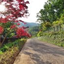 순천자연휴양림 이미지