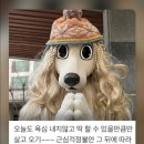 초연한의원 | 1월의 마무리