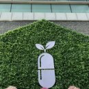 꽃우물약국 네이버블로그