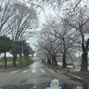 안성행복한동물약국 | 아기곰의 안성팜랜드 뽀개기(with 한우정육식당)