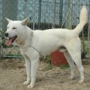 연동축산 이미지