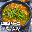 구포역 맞은편 1958년 노포 함안돼지국밥 출장 혼밥 돼지국밥 후기