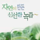 녹즙