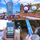 해남대박집 | 전라남도 완도 가볼만한곳 남파랑길 87코스 걷기좋은길