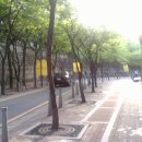 청계천남산사랑