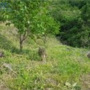 원달보건진료소 이미지