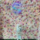 도그밀리 이미지