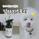 애견스토리 | 강아지오줌냄새 고민 강아지스토리 2in1 애견탈취제 솔직 후기