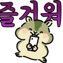 제이에스(JS) 시스템 이미지