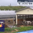 재림목장 이미지