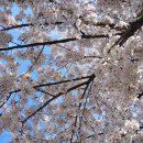 정내과의원 | 문산 내과] 파주 문산에서 내과 잘 보는 곳, 건강검진·내시경 최신 시설 서울바른정내과의원 방문 후기