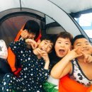 한국체대화랑태권도 이미지