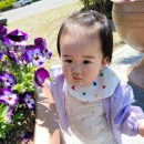 출발 즐거운 그림책 여행 이미지