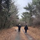 면역자연치유센터 이미지