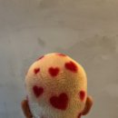 알파미용실 - 순창군 순창로 201 | 알파미용실