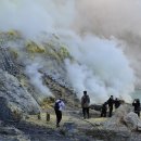 이젠호텔 | [이젠 화산 후기] 유황 가스 활화산 분화구 내려가도 안전할까?