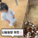 토끼와당근부천지사 | 부천 아이랑 갈만한곳 나눔농장 주말 방문 후기(주차,가격)