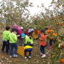 초포초등학교병설유치원 이미지