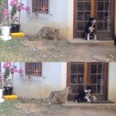 한사자농장 이미지