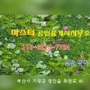 메카월드푸드