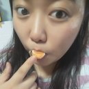 윤이 농장 이미지