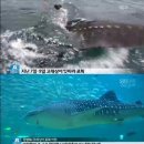 제주해양과학관 (아쿠아플라넷) 이미지