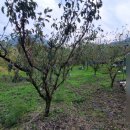 동읍1231 이미지