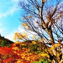 건천목장 이미지